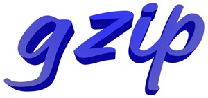 فشرده ‌سازی Gzip چیست؟ فشرده سازی سرورهای مختلف چگونه است؟