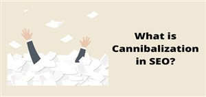  Cannibalization (کنیبالیزیشن) چیست؟ شناسایی و روش های تشخیص
